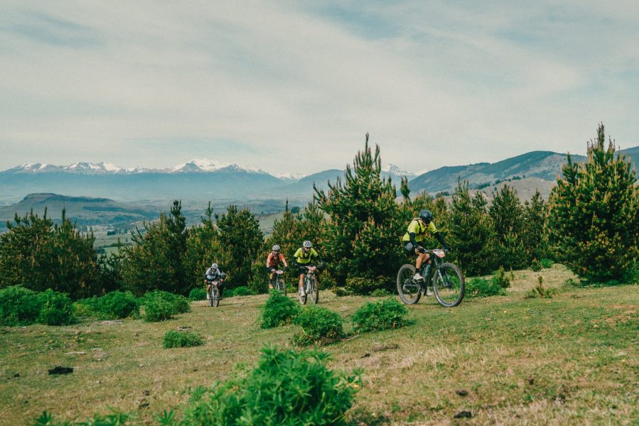 Titan-forest-patagonia-home