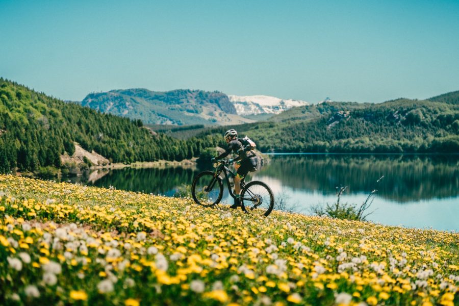 entorno-iconico (Grande)